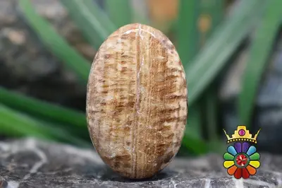 اراگونیت قهوه ای