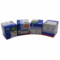 رینگ و پیستون ال90 و ساندرو تعمیر دوم SM سایز 050