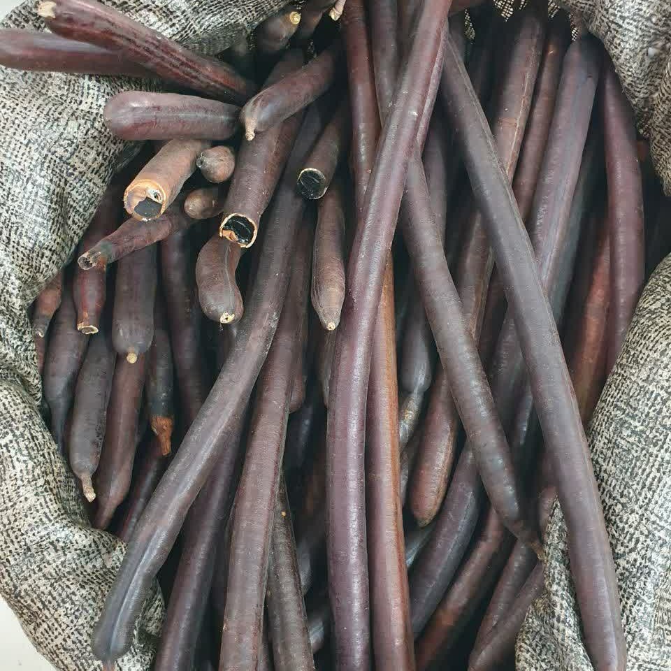فلوس 50 گرم
