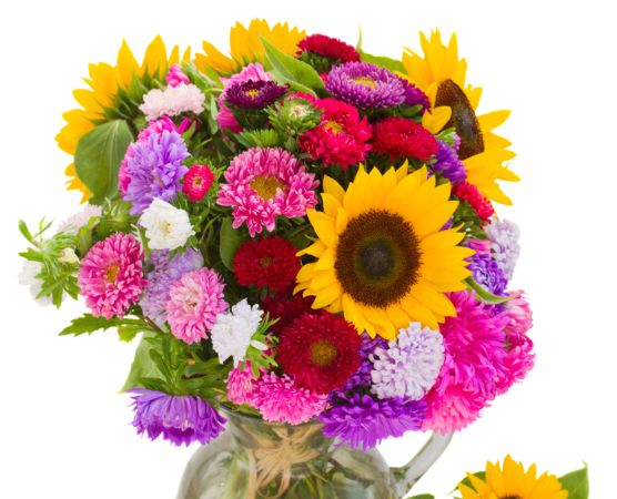 خرید و دانلود عکس Flower-Part-3 کد 17829 | پیک فاکس | Pic Fox