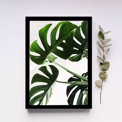 تابلو مدل برگ انجیری مجموعه 6 عددی