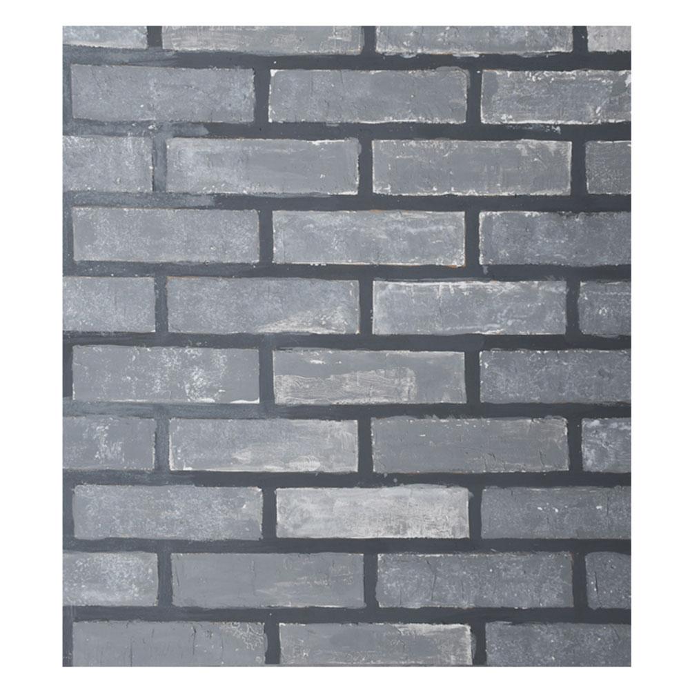 بک دراپ Backdrop کد B204