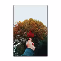تابلو شاسی گوفی مدل طبیعت عکس پاییزی طرح Nature Red Leaf کد HND41 | دنیای قاب