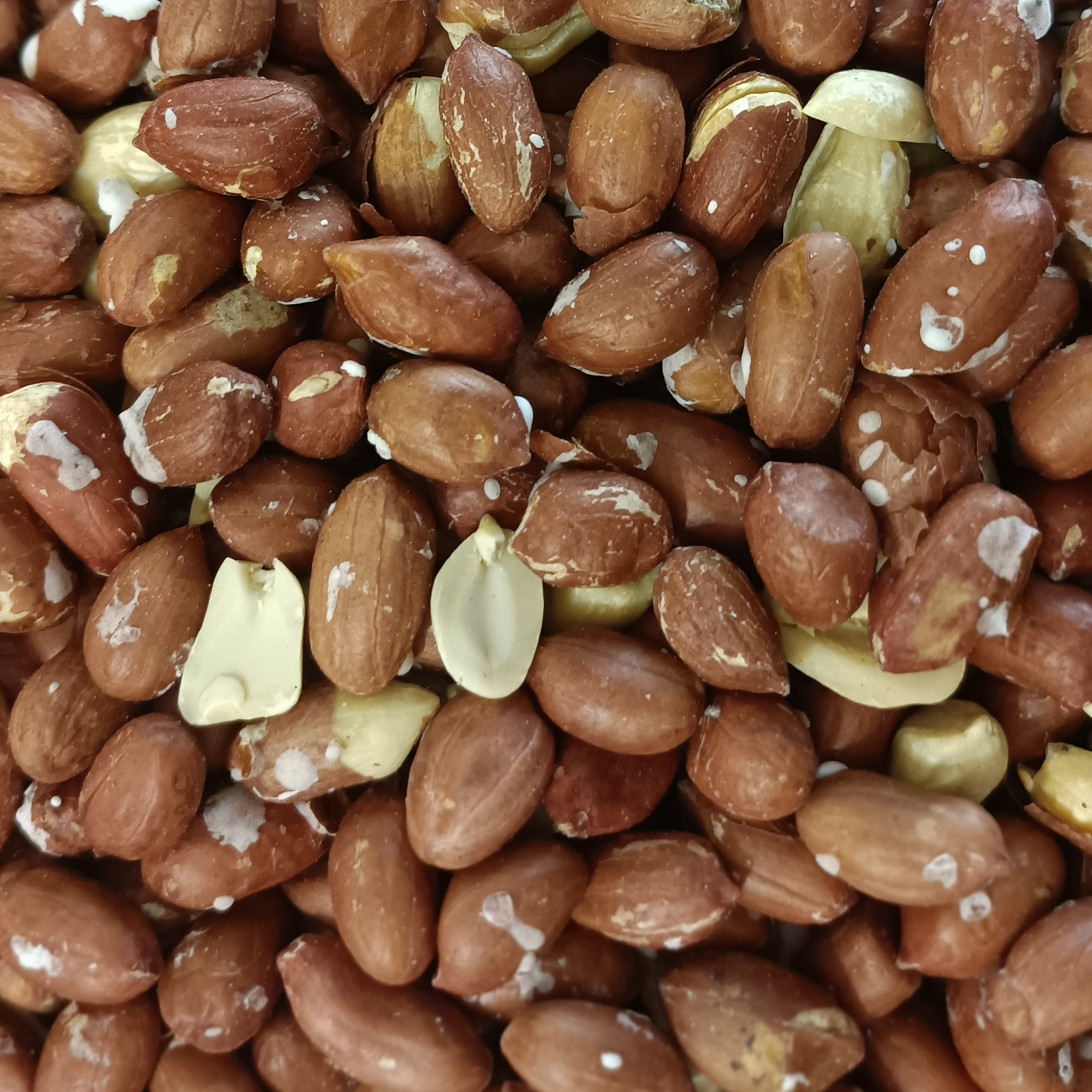 بادام زمینی هندی کپسولی خوشمزه و ترد 200 گرمی آجیل و خشکبار مهران 