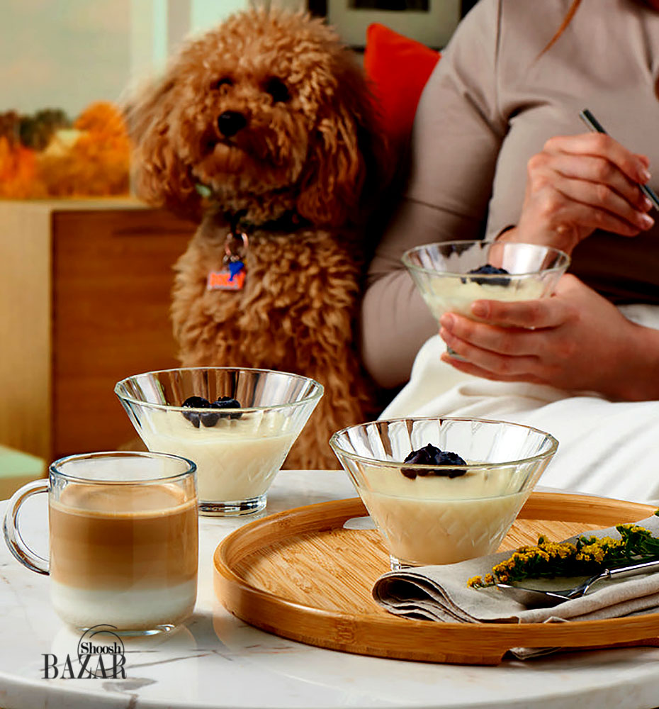 بستنی خوری وانیلا پاشاباغچه کد 530336