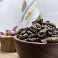 هلیله سیاه اعلا درجه یک 100گرمی (عطاری و محصولات ارگانیک طراوت)