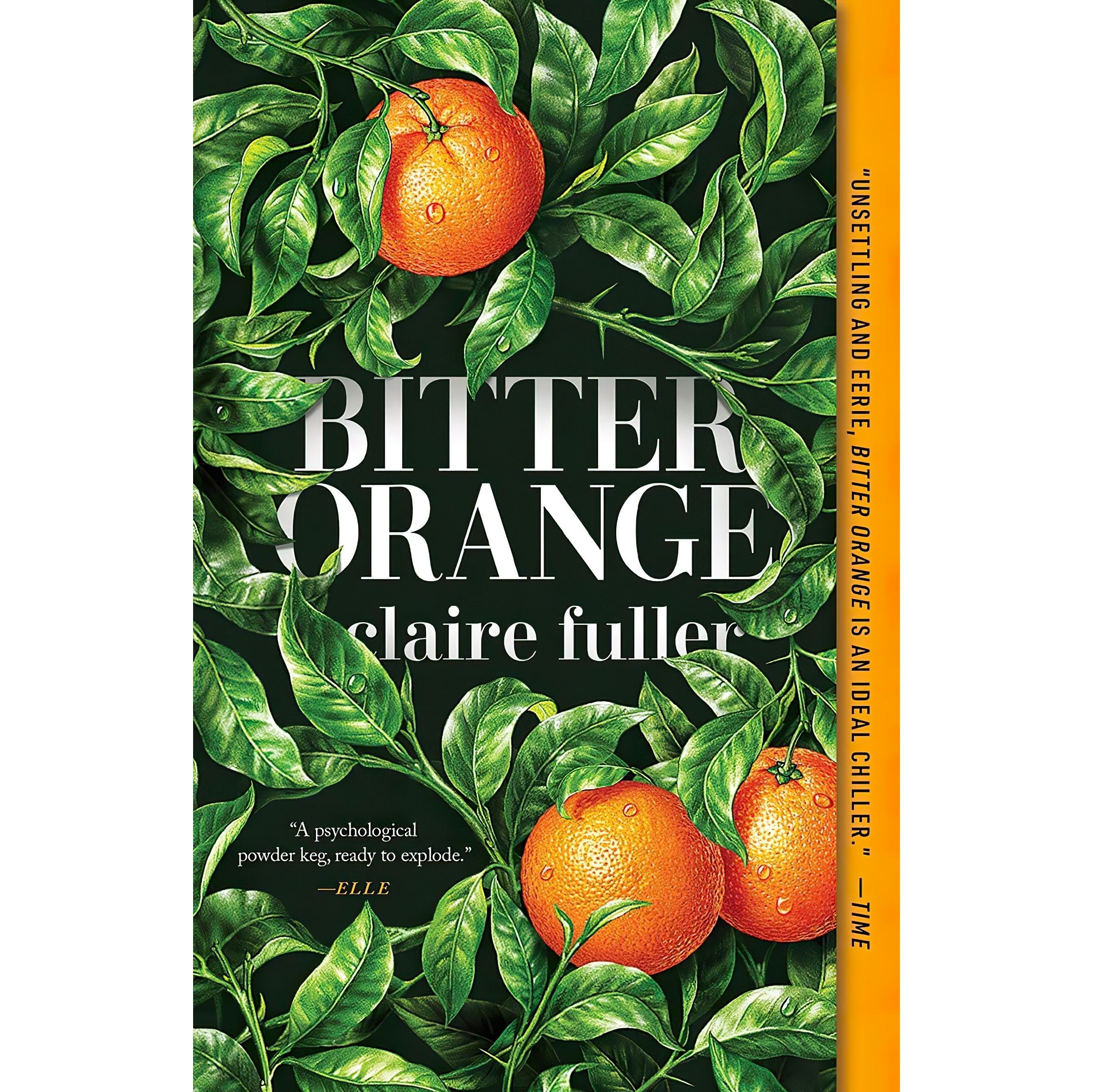 کتاب زبان اصلی Bitter Orange اثر Claire Fuller انتشارات Tin House Books