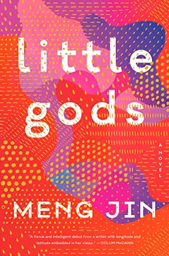 خرید و دانلود نسخه کامل کتاب Little Gods A Novel -   pdf