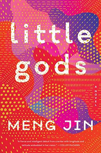 خرید و دانلود نسخه کامل کتاب Little Gods A Novel -   pdf