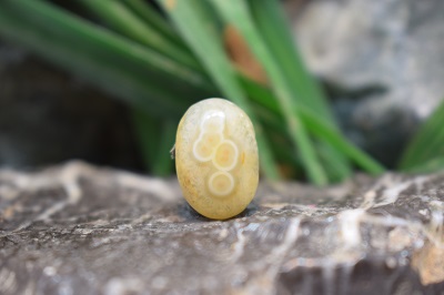 عقیق باباقوری