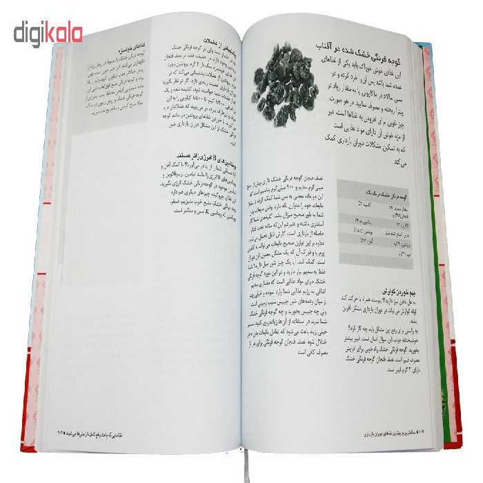 کتاب سالم ترین و بهترین غذاهای دوران بارداری اثر آلیسون تانیس و جاونی بودن انتشارات یاس بهشت