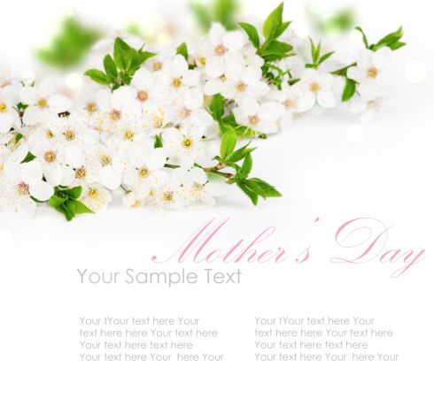 خرید و دانلود عکس Flower-Part-9 کد 18430 | پیک فاکس | Pic Fox