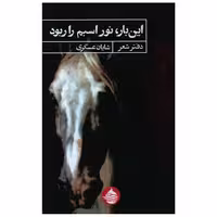 کتاب این بار نور اسبم را ربود اثر شایان عسگری