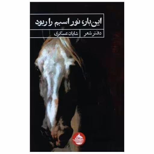 کتاب این بار نور اسبم را ربود اثر شایان عسگری