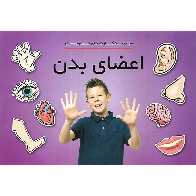فلش کارت دیدآموز اعضای بدن