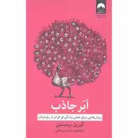 کتاب ابر جاذب اثر گبریل برنستین انتشارات میلکان - ناشربوک | خرید آنلاین کتاب