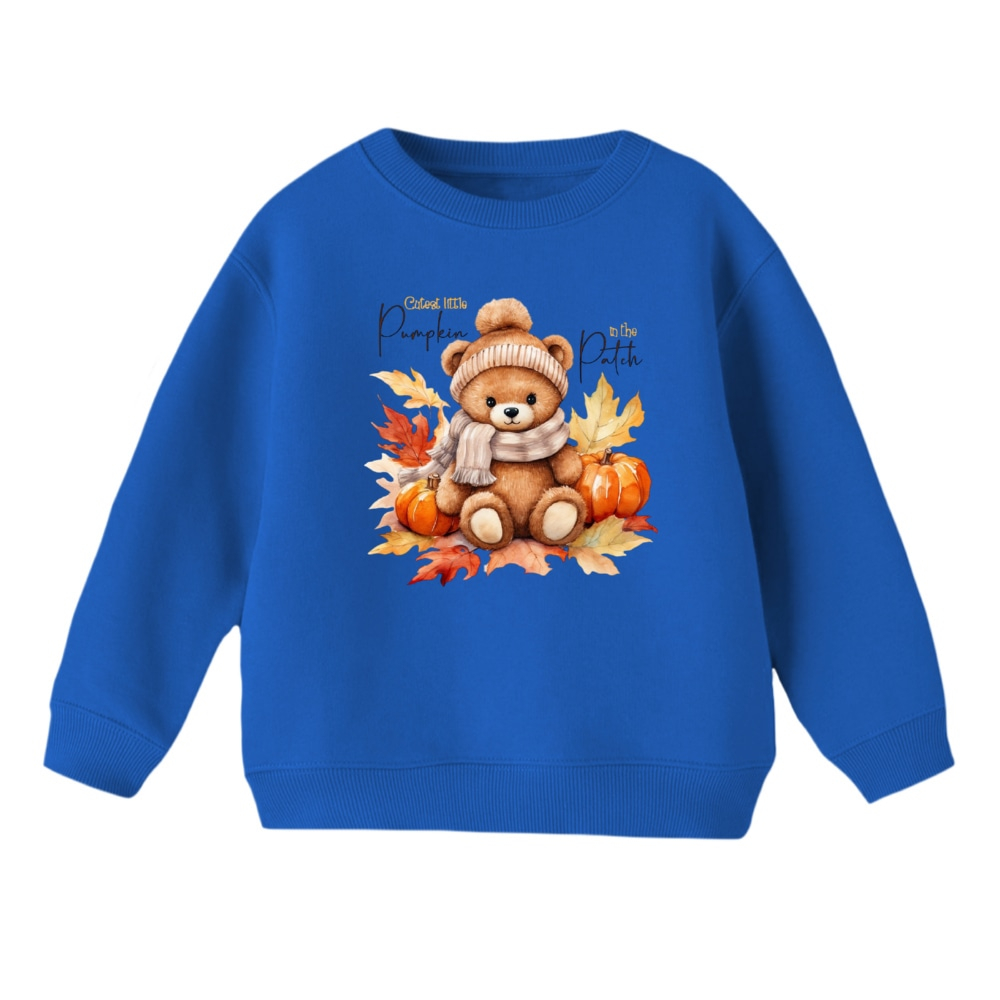 سویشرت بچگانه مدل خرس و پاییز رنگ آبی