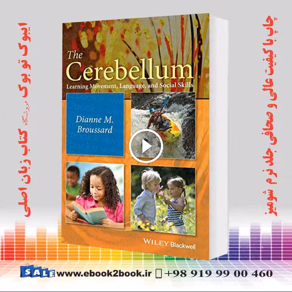 The Cerebellum