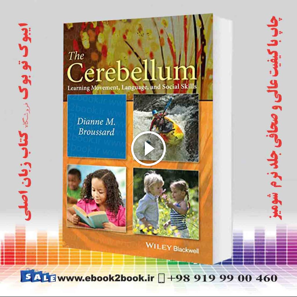 The Cerebellum