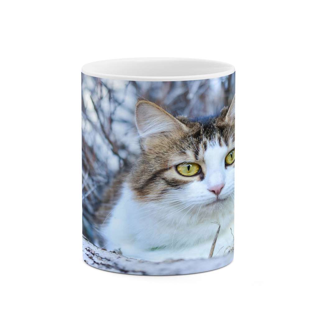 ماگ کاکتی طرح گربه مدل mgs14742