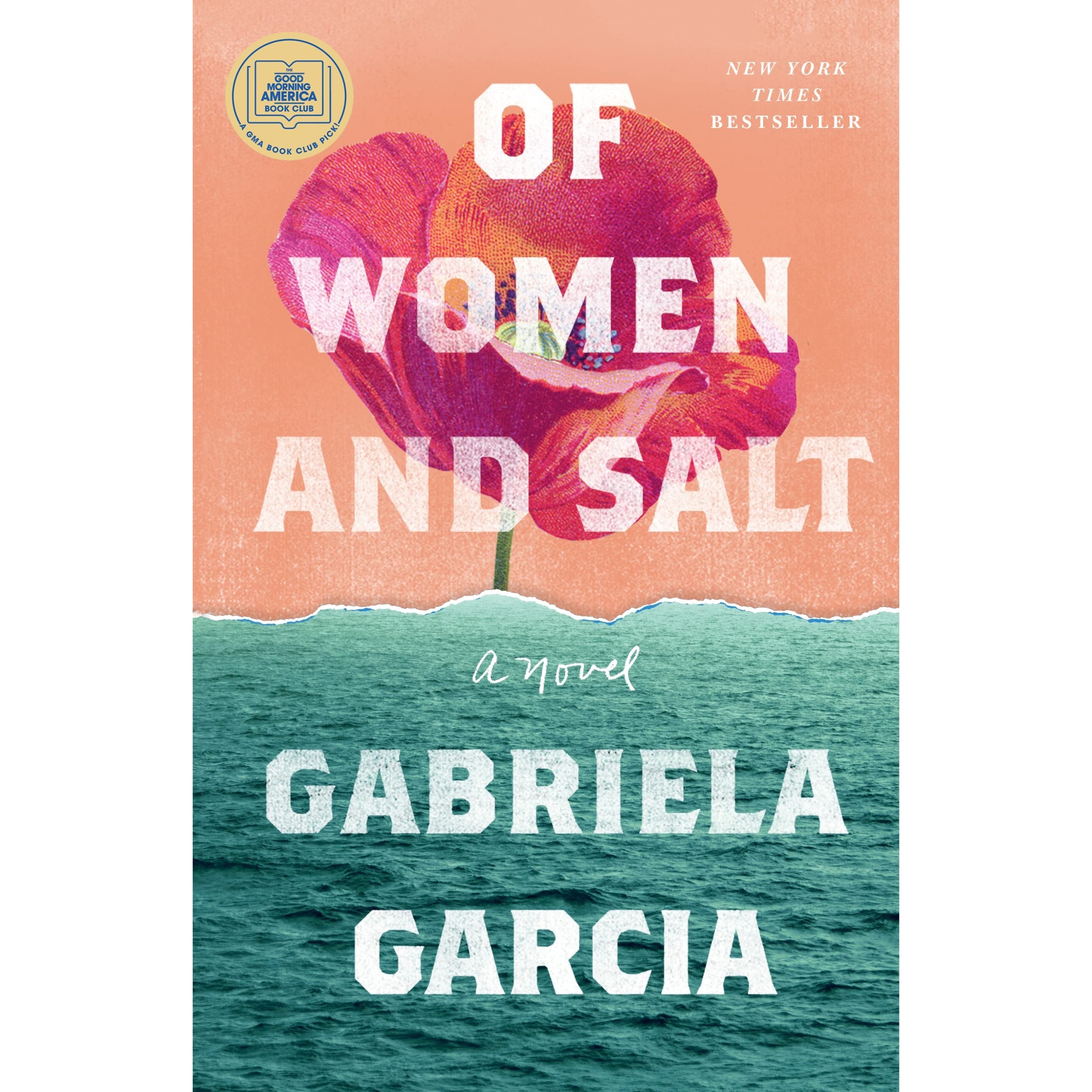 کتاب Of Women and Salt: A Novel اثر  Gabriela Garcia انتشارات Flatiron Books