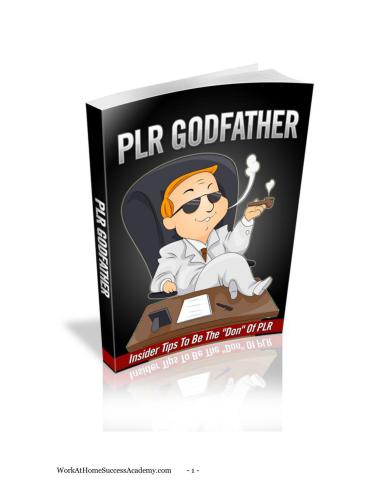 خرید و دانلود نسخه کامل کتاب PLR Godfather. Insider tips to be the 'Don' of PLR