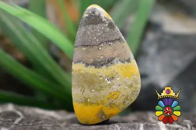 جاسپر زنبوری