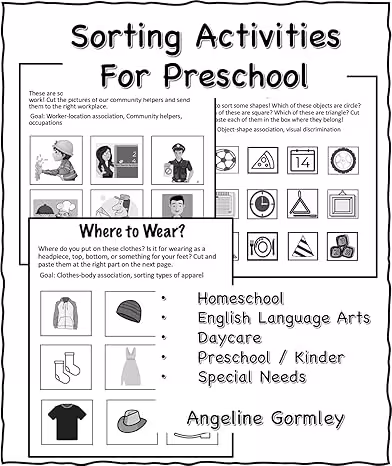 خرید و دانلود نسخه کامل کتاب Sorting Activities for Preschool -   PDF