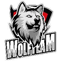 برچسب کنسول بازی مدل گروه گرگ کد 116