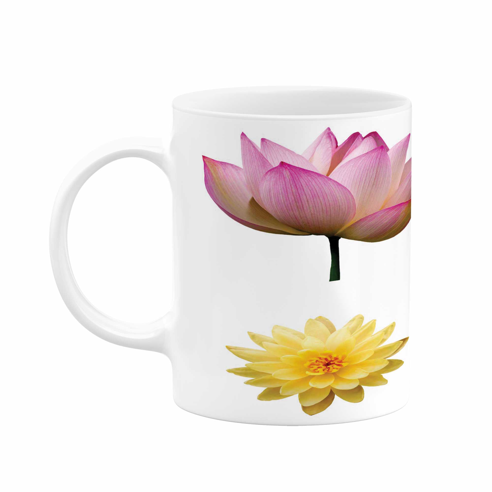 ماگ طرح انواع گل مدل mu00934