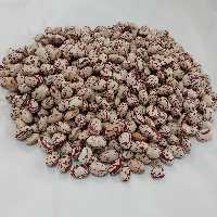 لوبیا چیتی پاک شده اصل سراب خوشمزه ترین وخوش رنگ ترین لوبیای ایران در بسته های یک کیلویی