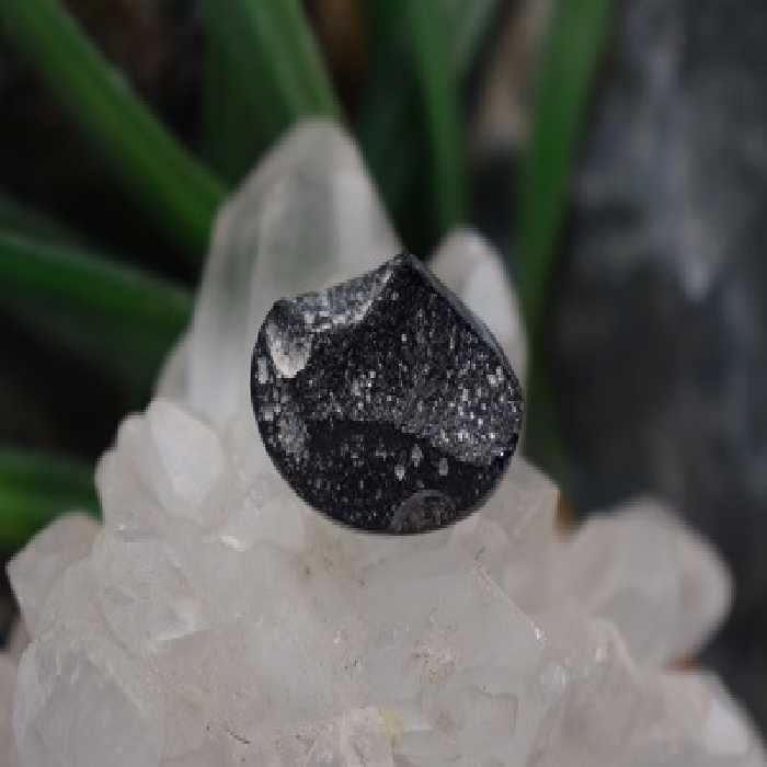 تکتیت طبیعی