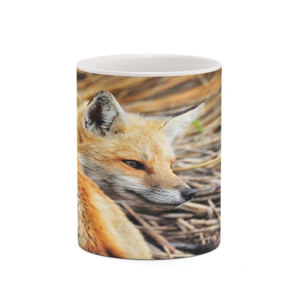 ماگ کاکتی طرح روباه مدل mgh19260