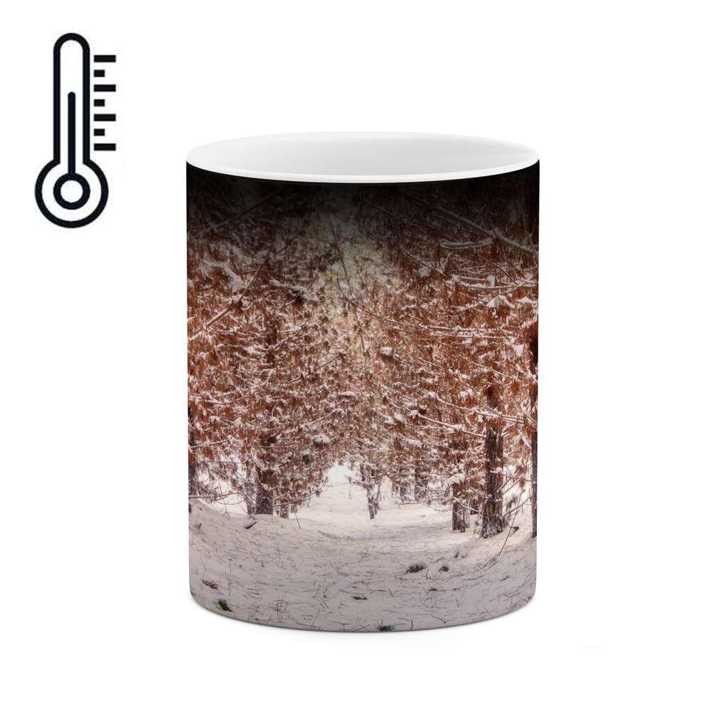 ماگ حرارتی کاکتی طرح منظره برفی مدل mgh15065