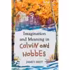 کتاب Imagination and Meaning in Calvin and Hobbes اثر Jamey Heit انتشارات McFarland