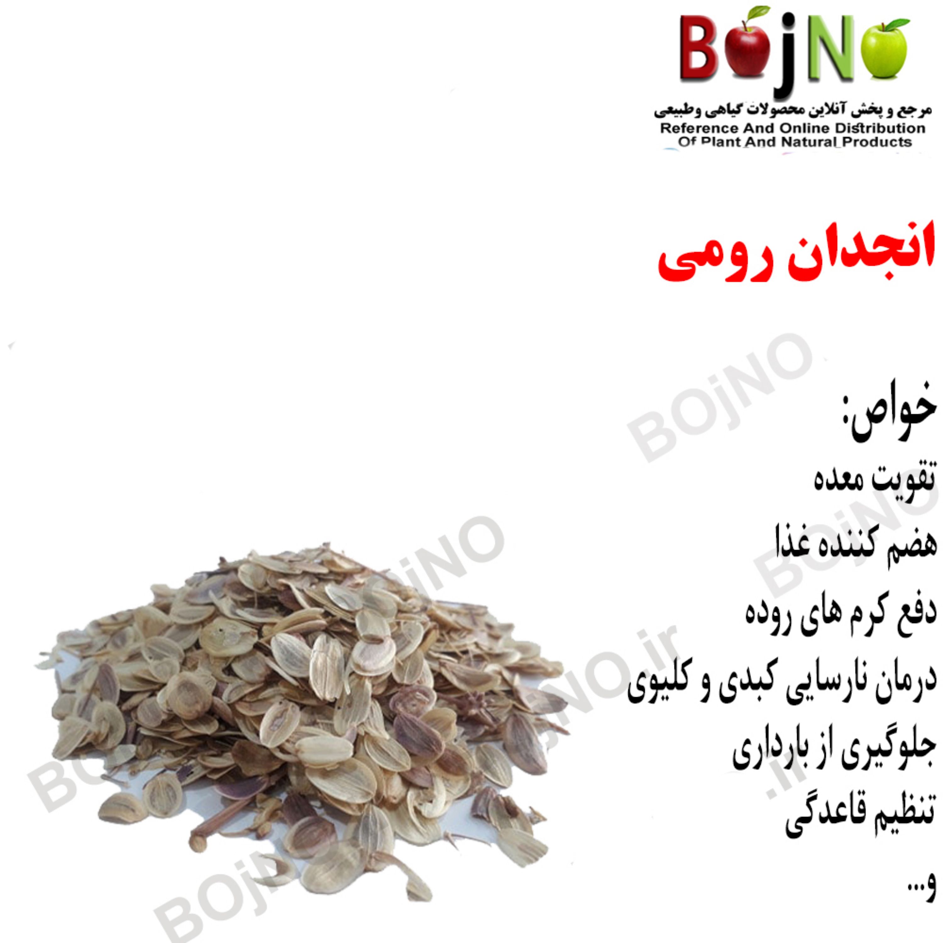 انجدان رومی (بسته 25 گرمی)