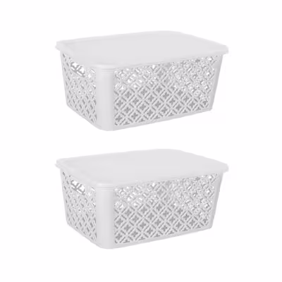 سبد نظم دهنده مدل ALF-36 بسته 2 عددی