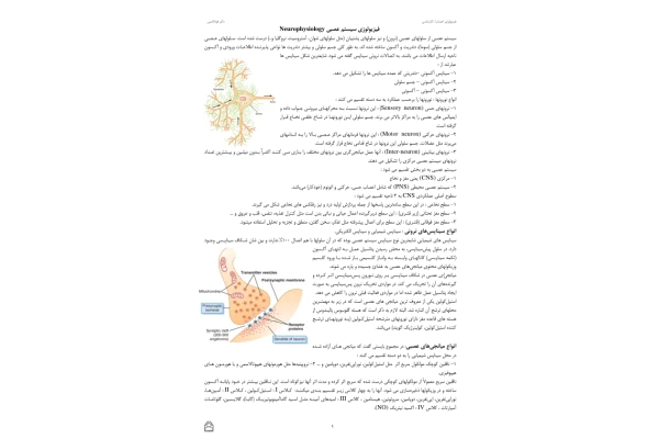 فیزیولوژی اعصاب(جزوه) 🔬 - کتابخانه مجازی واتیکان