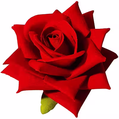 گل مصنوعی مدل رز B بسته 2 عددی