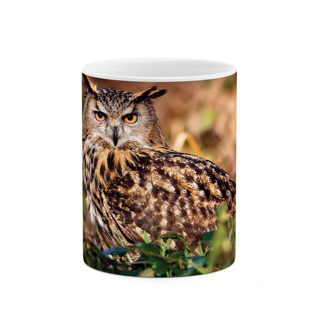 ماگ طرح جغد مدل mgs10230