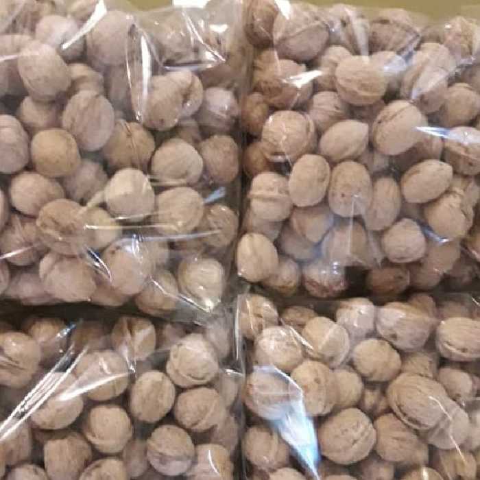 گردوی پوست کاغذی دماوند تازه وامسالی بسته بندی 1 کیلویی