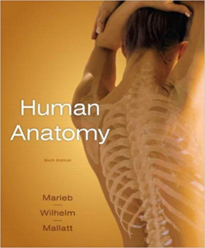 󾕇 دانلود کتاب Human Anatomy, 6th ed, 2010 - دانلود کتاب های دانشگاهی