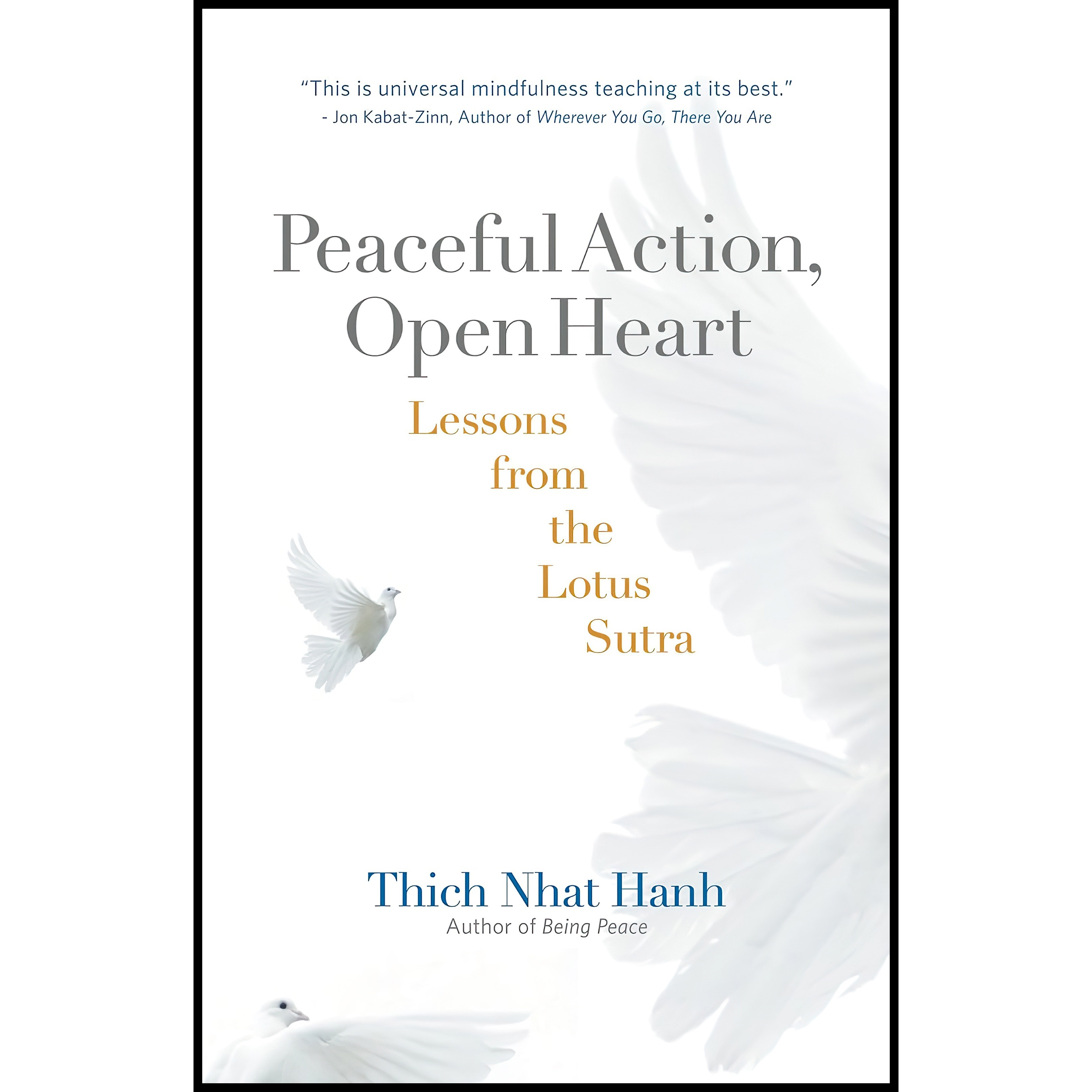 کتاب Peaceful Action, Open Heart اثر Thich Nhat Hanh انتشارات Parallax Press