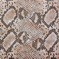 خرید و دانلود عکس ShutterStock-2014-Backgrounds &amp; Textures کد 53553 | پیک فاکس | Pic Fox