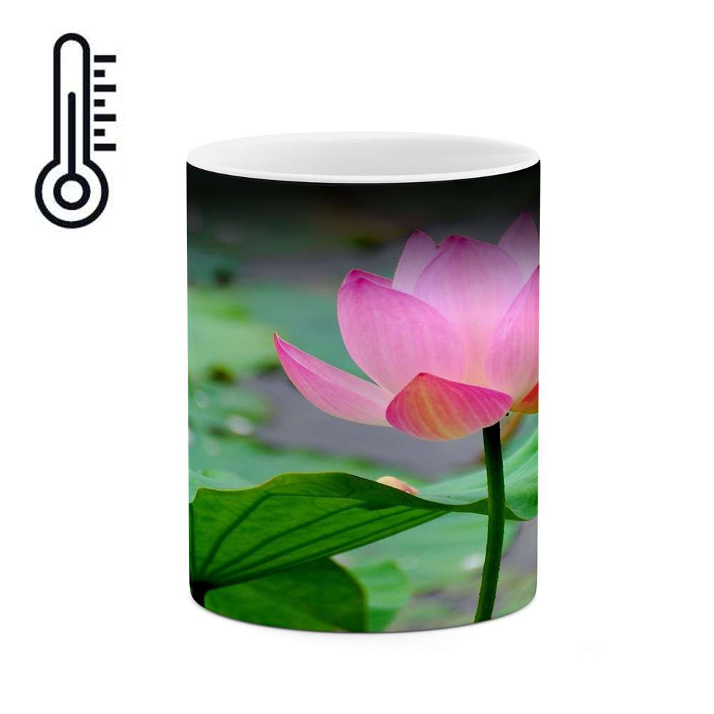 ماگ حرارتی کاکتی طرح گل مدل mgh16246