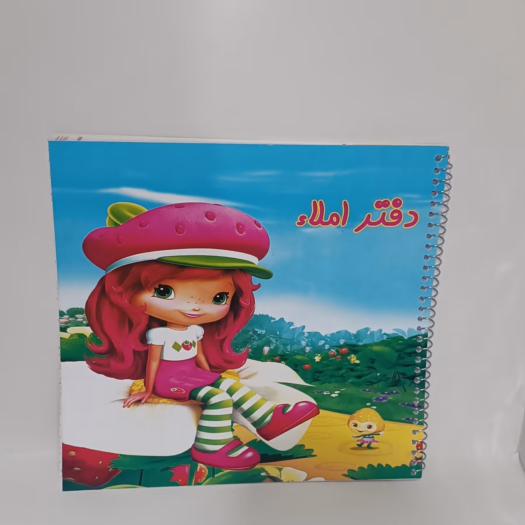 دفتر مخصوص املا سیمی حاشیه دار فانتزی برچسب دار 