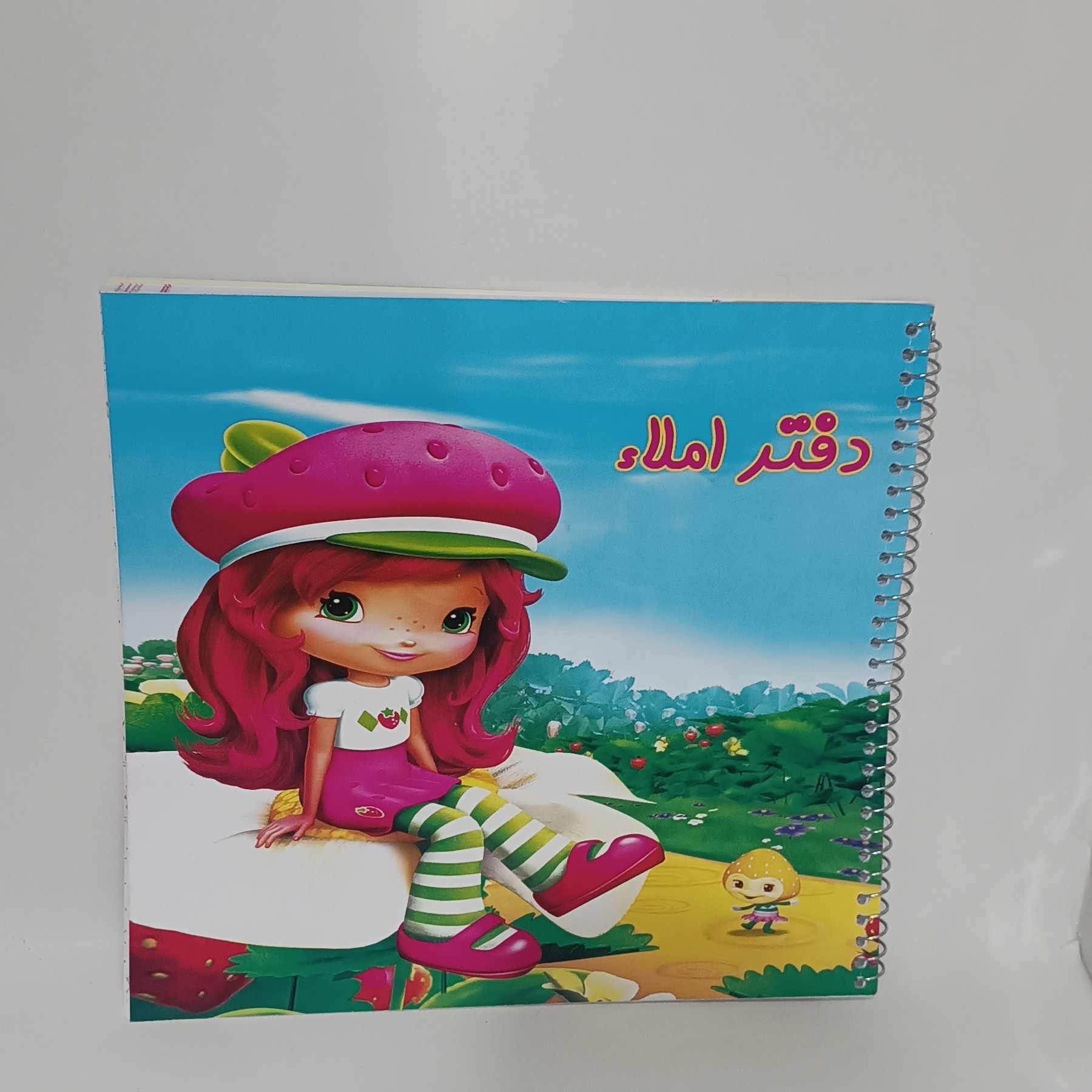 دفتر مخصوص املا سیمی حاشیه دار فانتزی برچسب دار