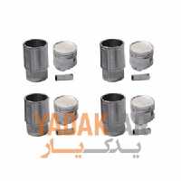 بوش و پیستون کیا ریو کره