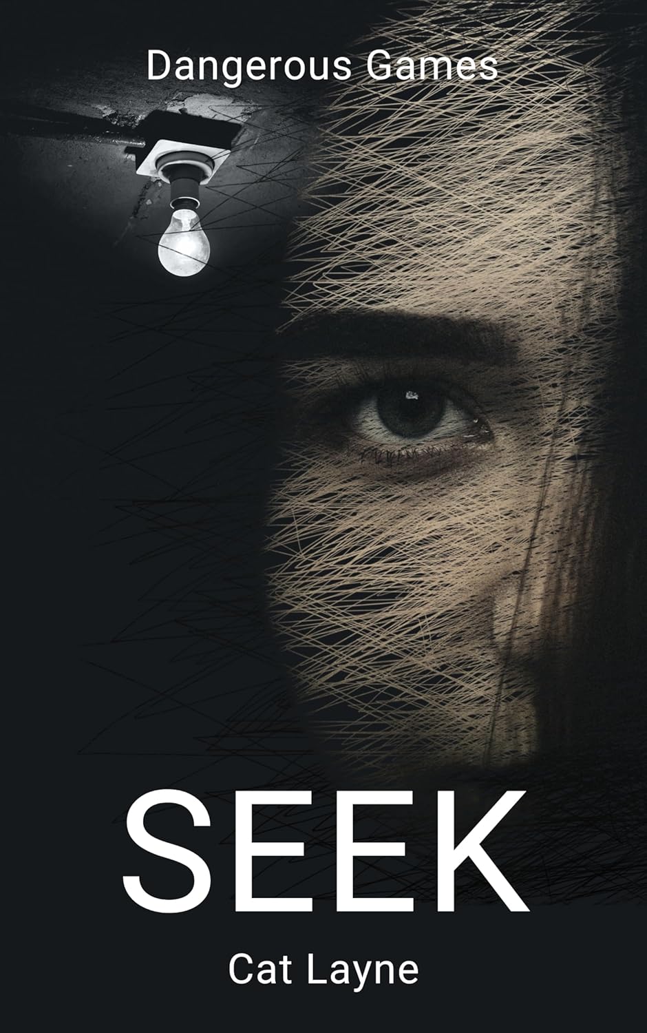 Seek (Dangerous Games Book 2)