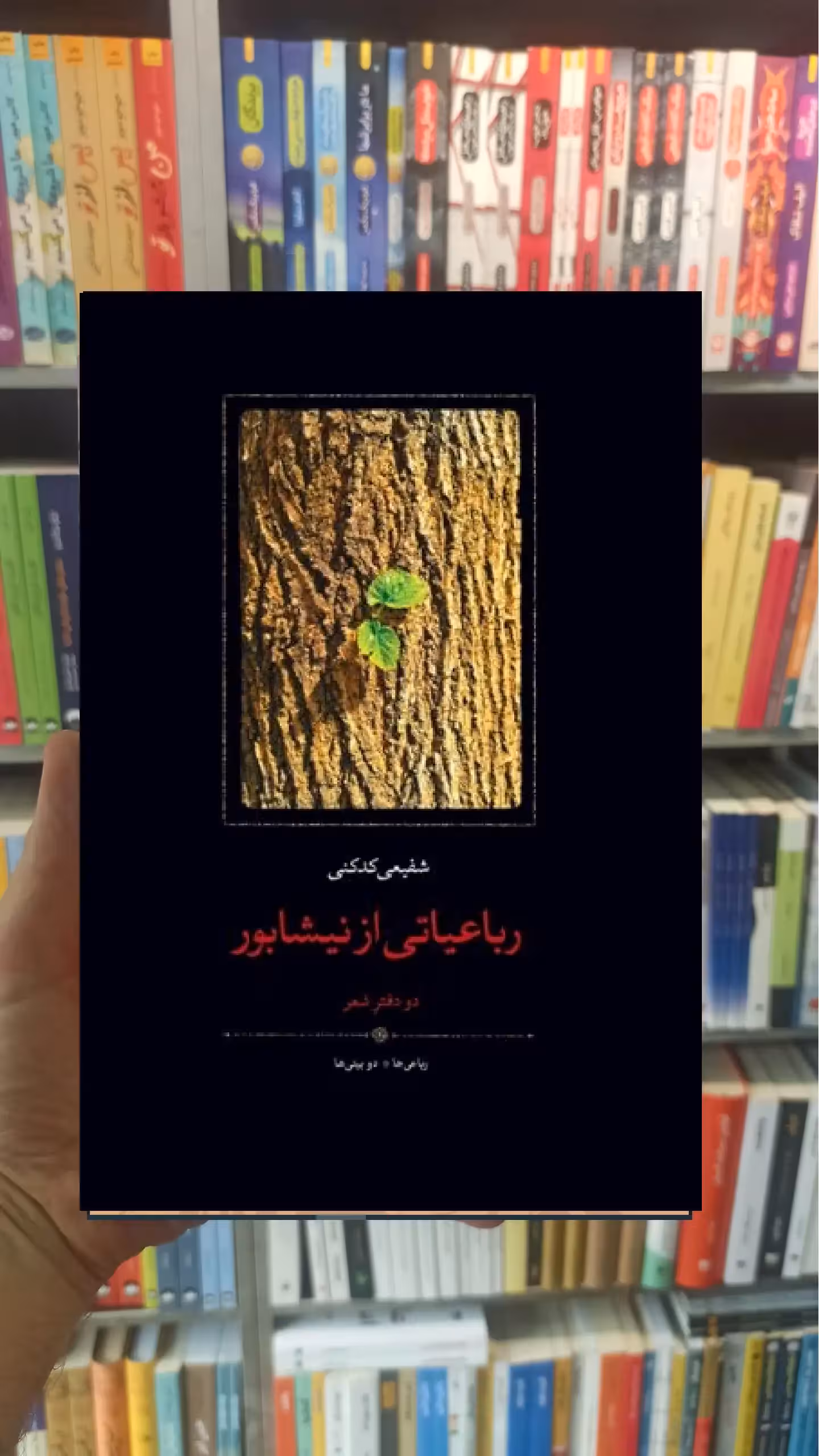 رباعیاتی از نیشابور دو دفتر شفیعی کدکنی سخن - بانک کتاب ماندگار-قیمت-خرید-کتاب-کمک-درسی-کنکور-دانشگاهی